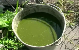 تصویر 4 از قیمت خرید کود مایع مرغی طبیعی و ارگانیک + فروش ویژه